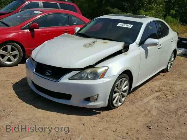 2009 LEXUS IS 250 - VIN: JTHCK262392027804 - Фото 2