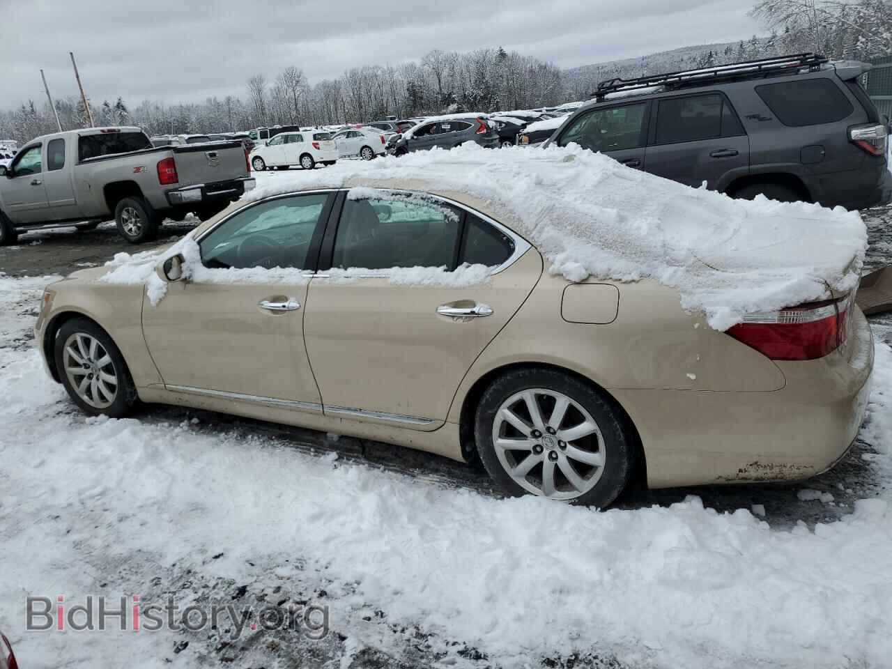 2008 LEXUS LS460 - VIN: JTHBL46FX85070105 - Фото 2