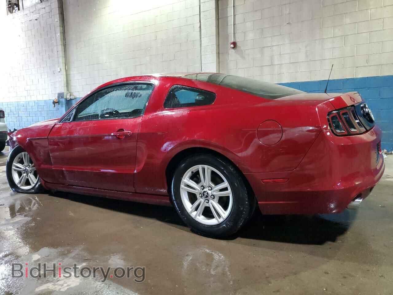 2014 FORD ALL Models - VIN: 1ZVBP8AM1E5237334 - Фото 2