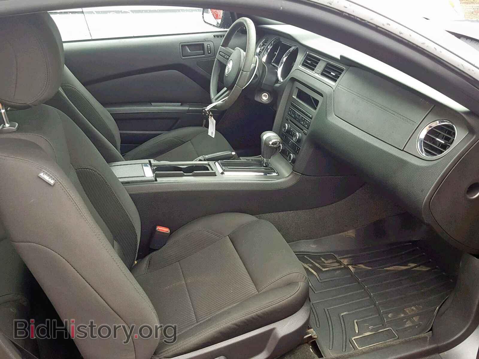 2012 FORD MUSTANG - VIN: 1ZVBP8AM4C5281048 - Фото 5