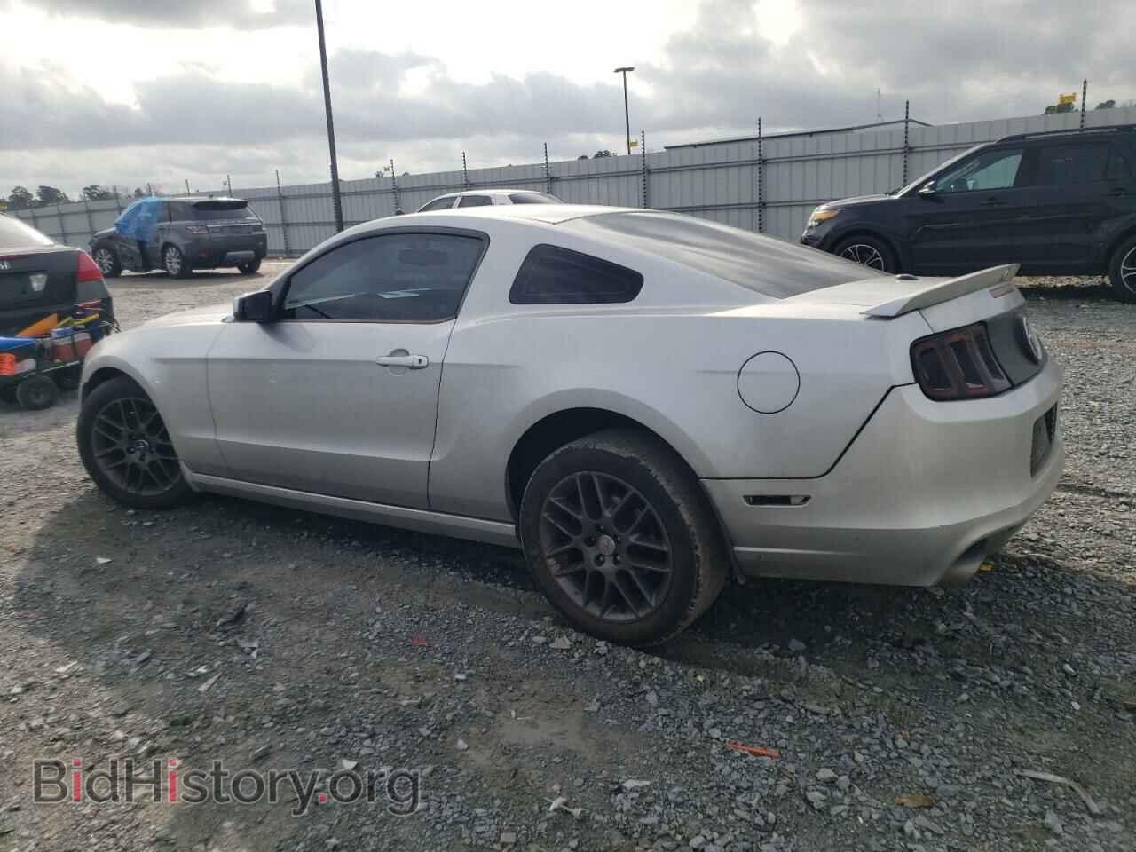 2013 FORD ALL Models - VIN: 1ZVBP8AM0D5253572 - Фото 2