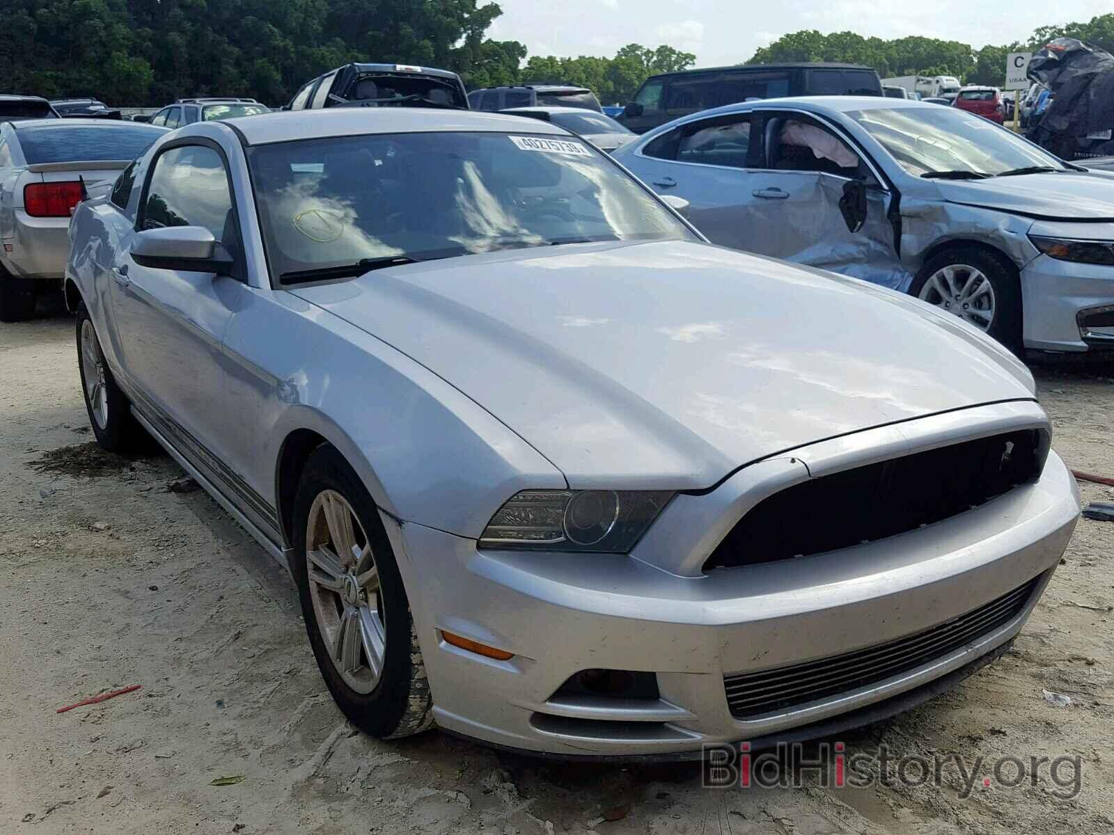 Photo 1ZVBP8AM0D5207434 - FORD MUSTANG 2013