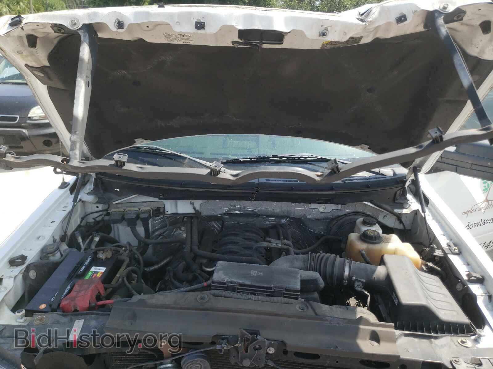 2013 FORD F150 - VIN: 1FTNF1CF8DKE21002 - Фото 7