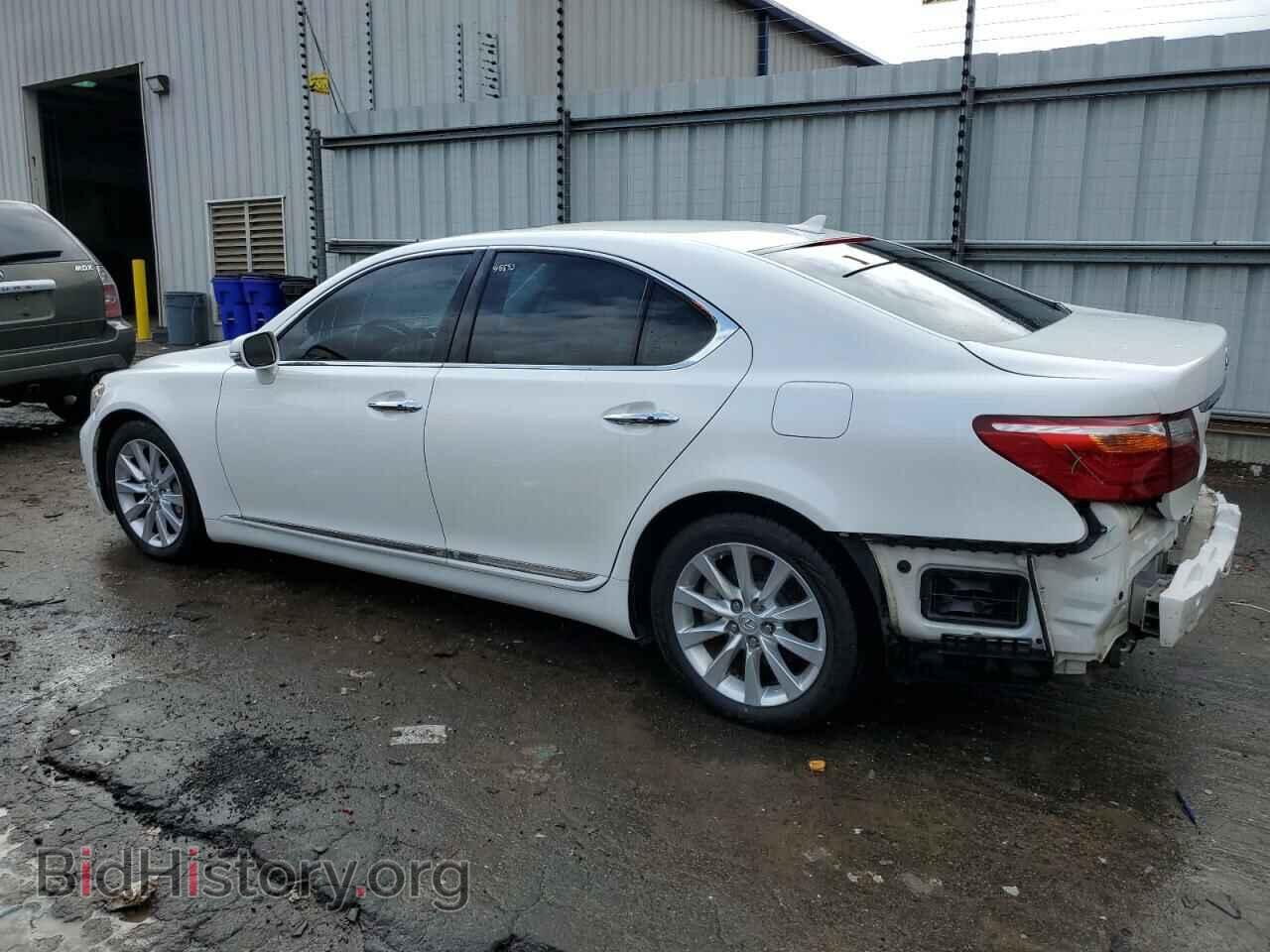 2011 LEXUS LS460 - VIN: JTHCL5EF1B5010555 - Фото 2