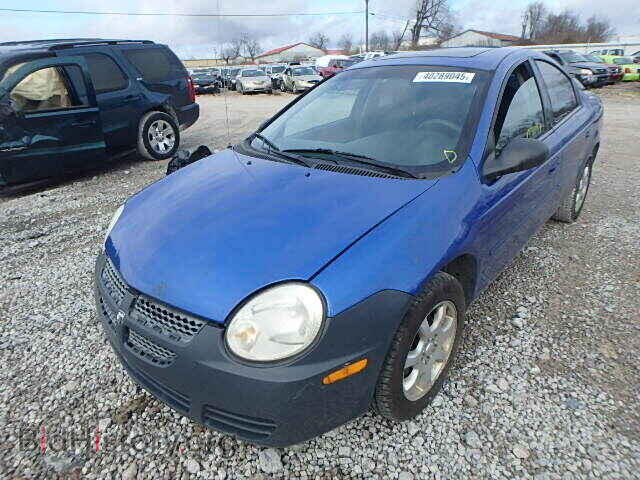 2005 DODGE NEON - VIN: 1B3ES56CX5D250328 - Фото 2