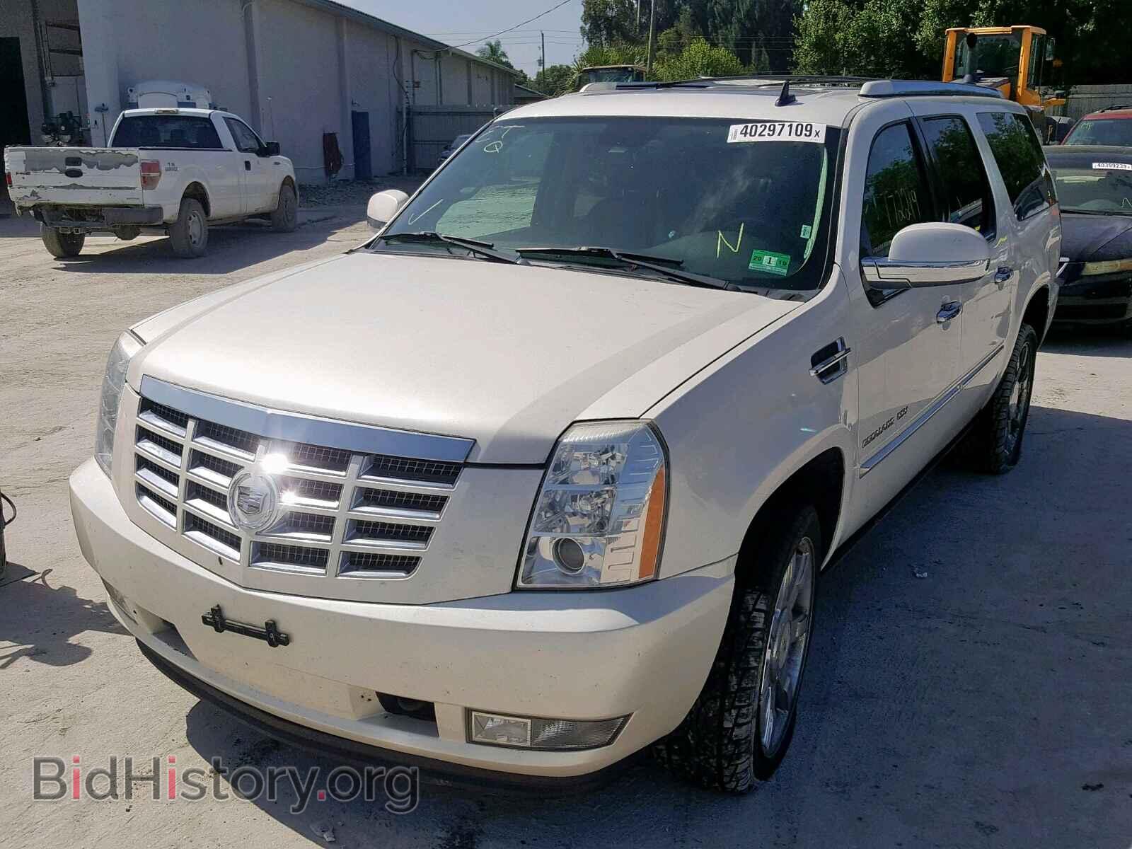 2010 CADILLAC ESCALADE E - VIN: 1GYUKJEF9AR172274 - Фото 2