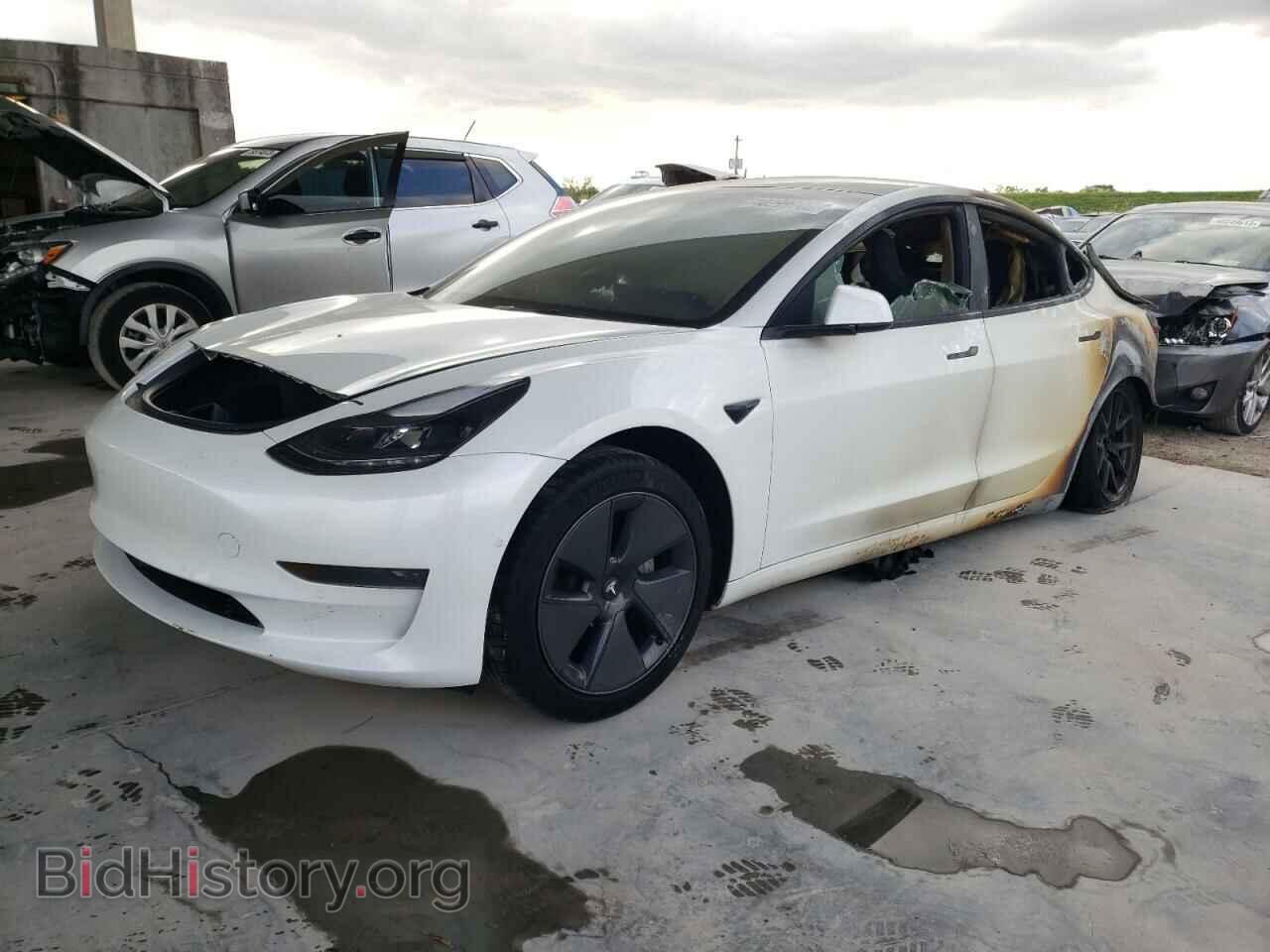 Photo 5YJ3E1EA7MF087568 - TESLA MODEL 3 2021