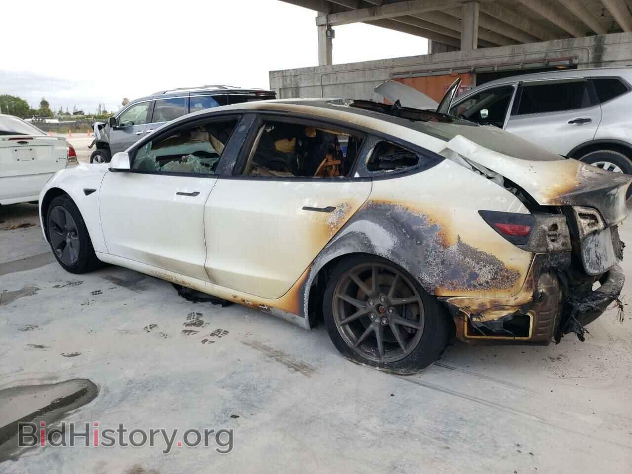 2021 TESLA MODEL 3 - VIN: 5YJ3E1EA7MF087568 - Фото 2