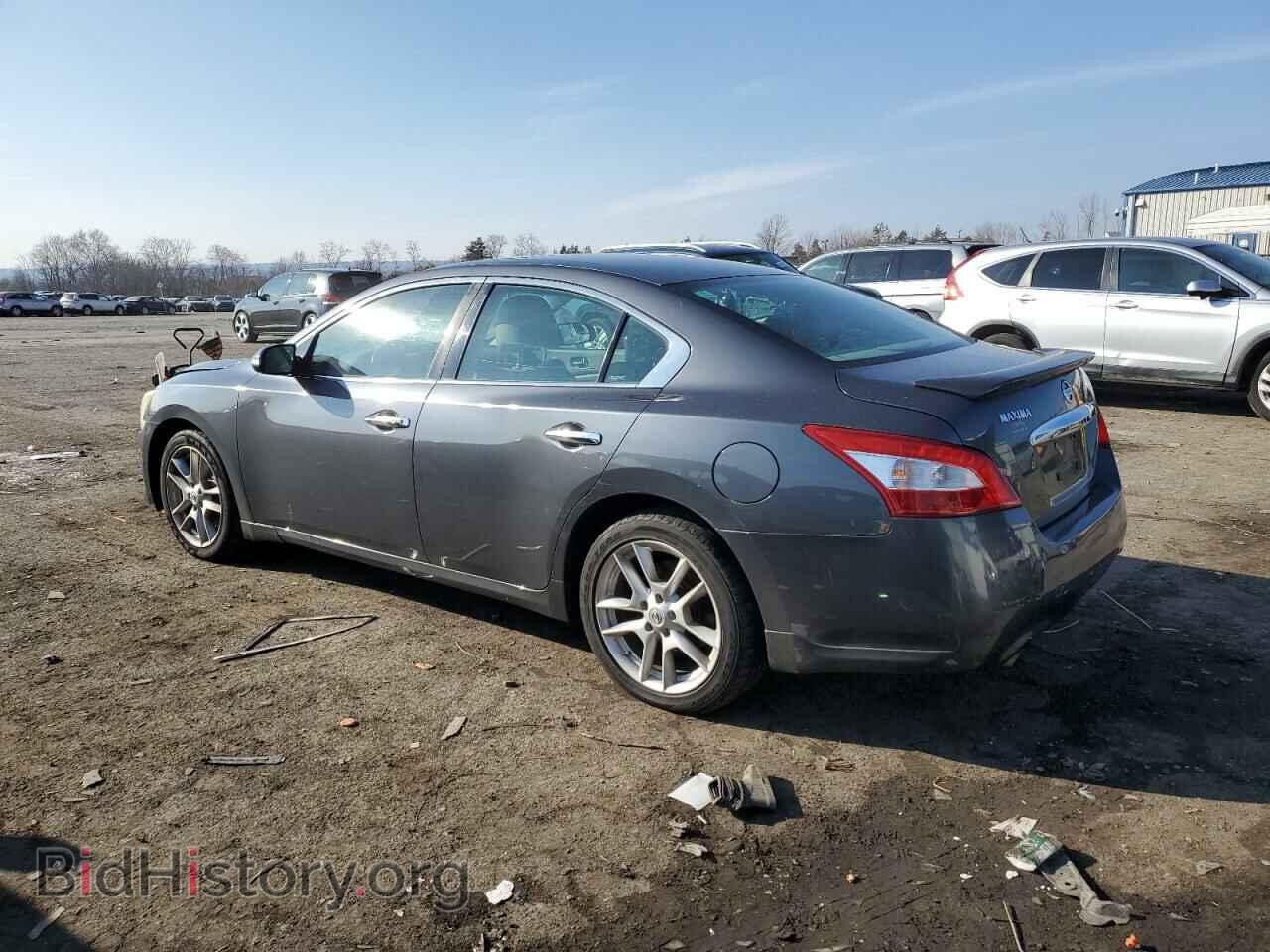 2009 NISSAN MAXIMA - VIN: 1N4AA51E69C844926 - Фото 2