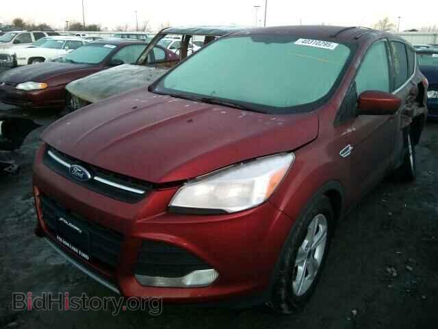 2014 FORD ESCAPE - VIN: 1FMCU0GX8EUB85589 - Фото 2