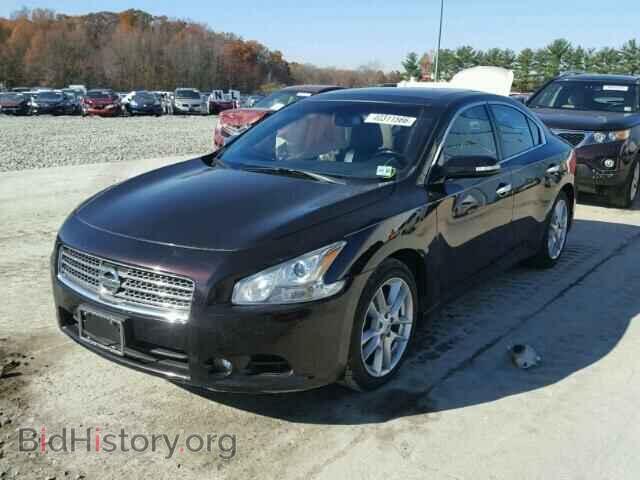 2011 NISSAN MAXIMA - VIN: 1N4AA5AP3BC818744 - Фото 2