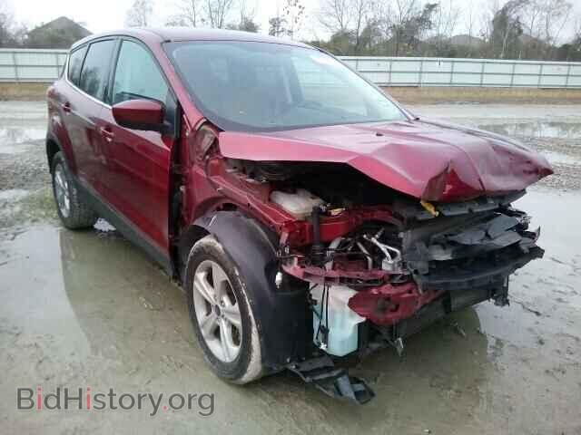 Фотография 1FMCU0GX3DUD41441 - FORD ESCAPE 2013
