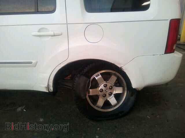 2009 HONDA PILOT - VIN: 5FNYF38989B024681 - Фото 10