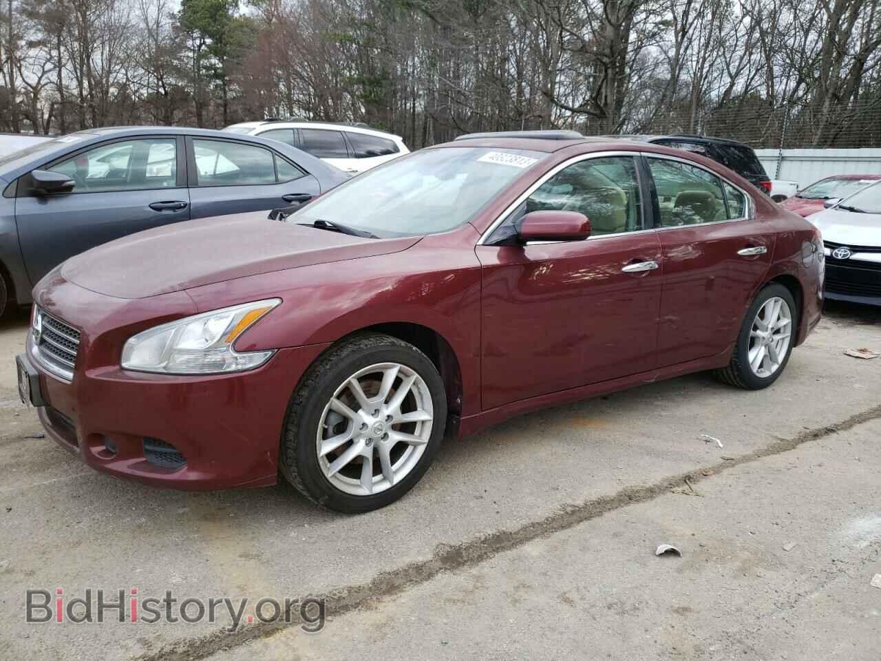Фотография 1N4AA5AP1AC814772 - NISSAN MAXIMA 2010