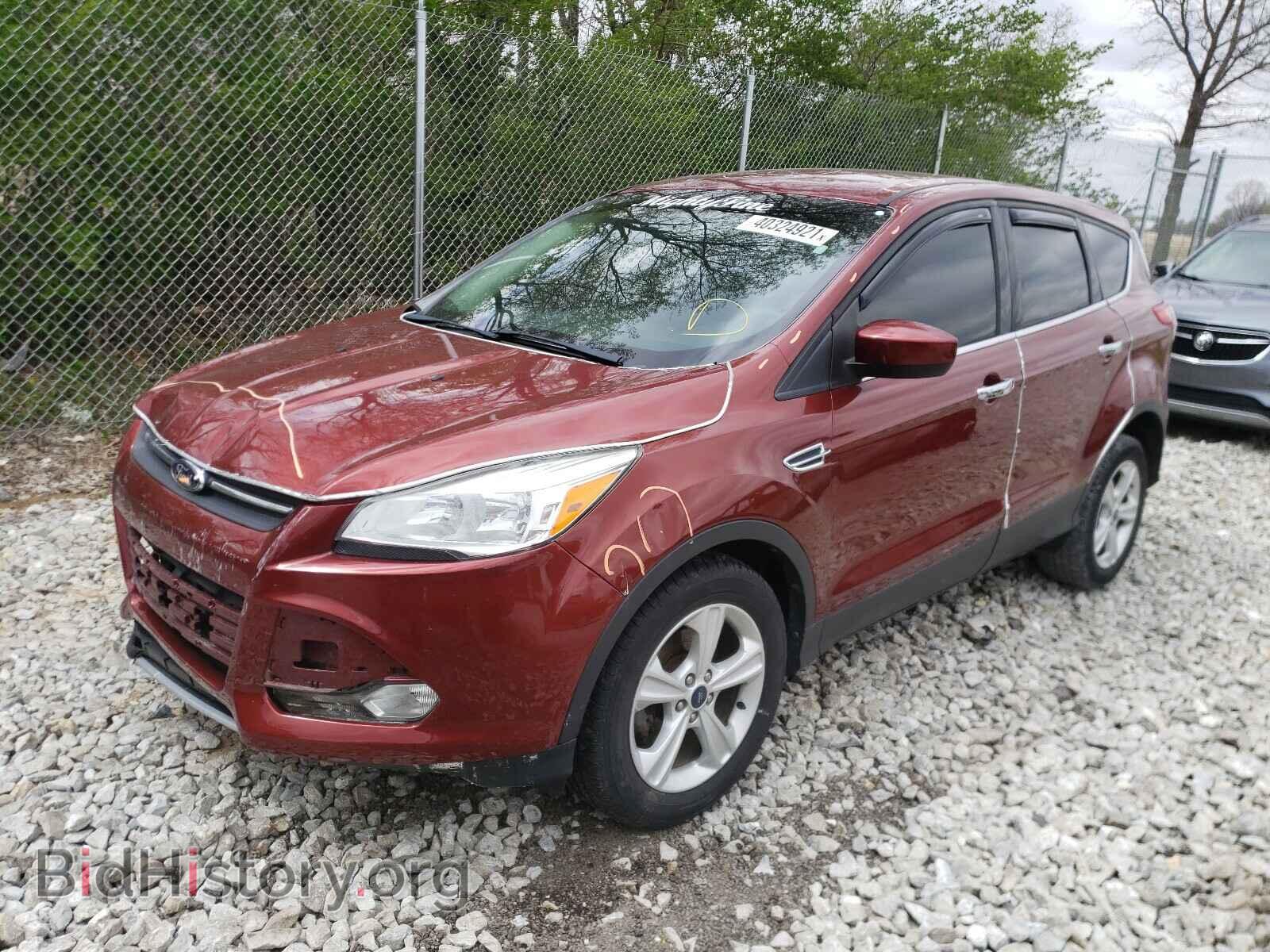 2014 FORD ESCAPE - VIN: 1FMCU0GX0EUB60833 - Photo 2