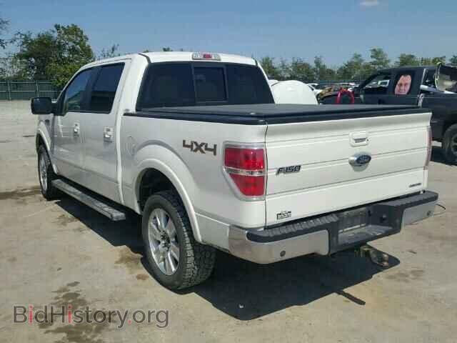 2011 FORD F150 - VIN: 1FTFW1EF8BFC75367 - Фото 3