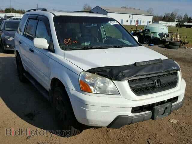 Фотография 5FNYF18575B052371 - HONDA PILOT 2005