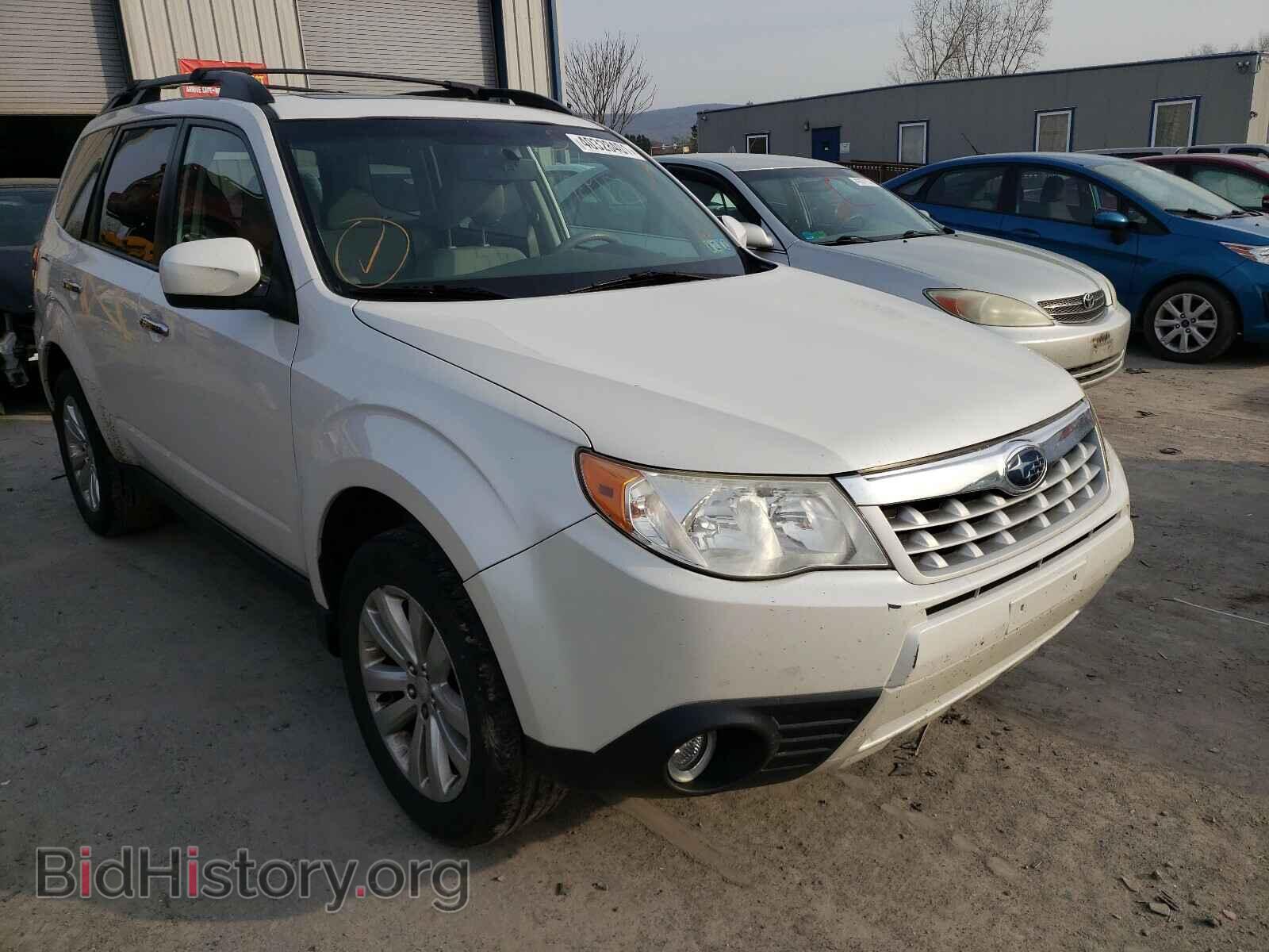 Photo JF2SHADC6BH742260 - SUBARU FORESTER 2011