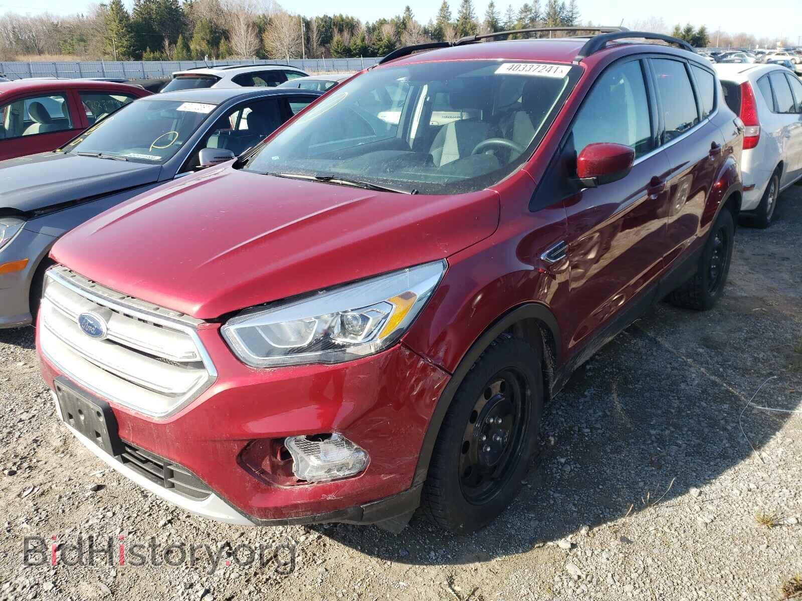 2017 FORD ESCAPE - VIN: 1FMCU0GD0HUB09732 - Фото 2