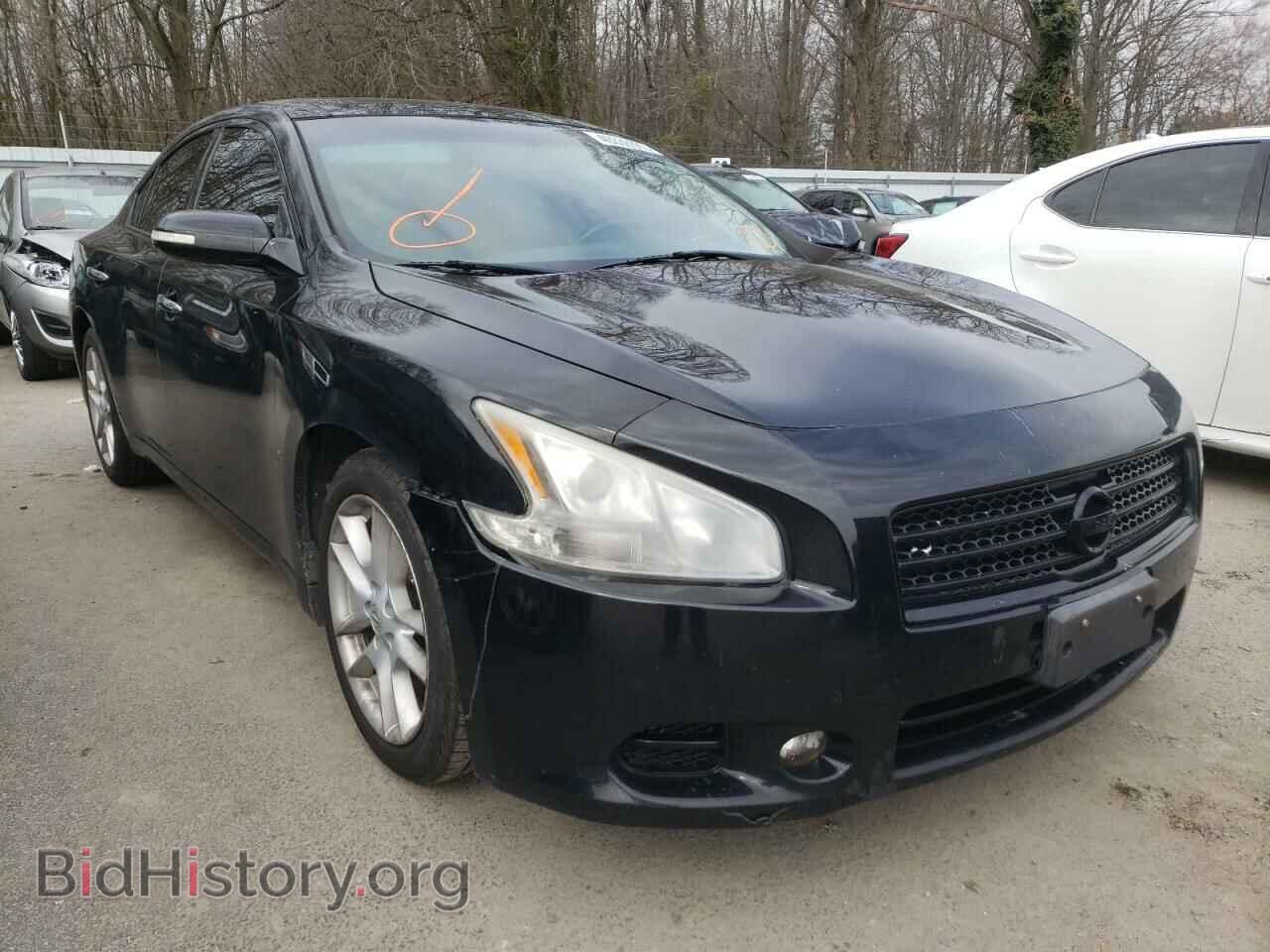 Фотография 1N4AA5AP6BC817412 - NISSAN MAXIMA 2011