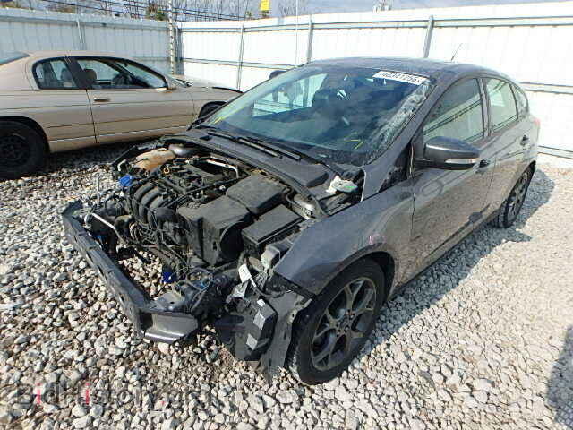 2013 FORD FOCUS - VIN: 1FADP3K25DL320065 - Фото 2