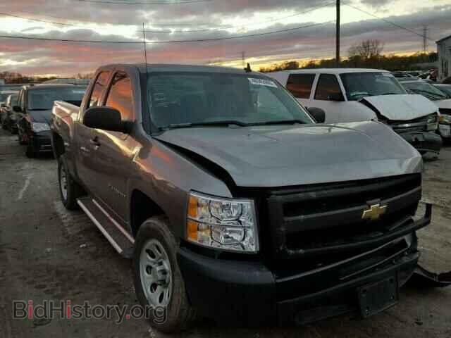 Photo 1GCEC19X49Z196696 - CHEVROLET SILVERADO 2009