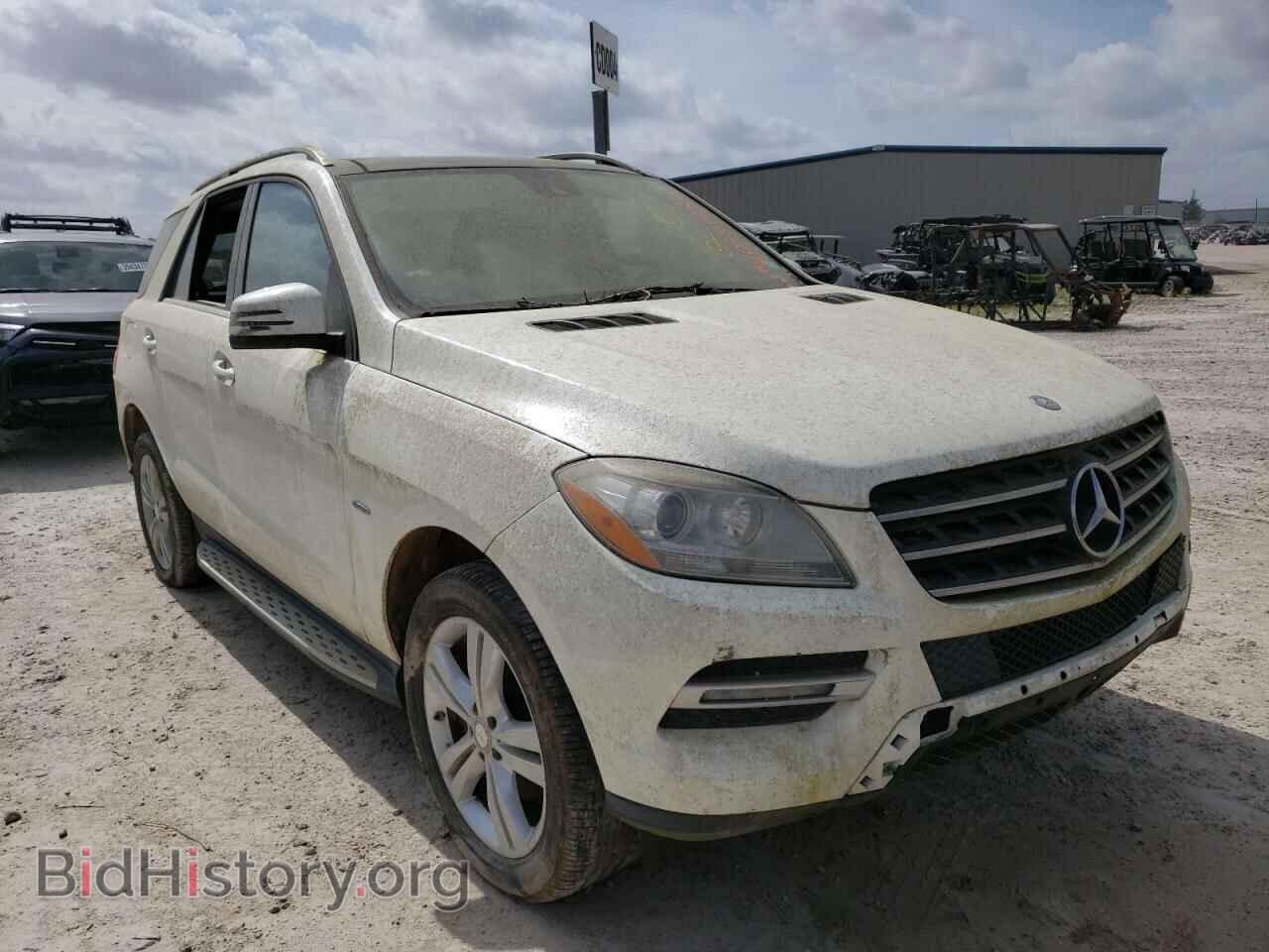 Photo 4JGDA5HB2CA054881 - MERCEDES-BENZ M-CLASS 2012
