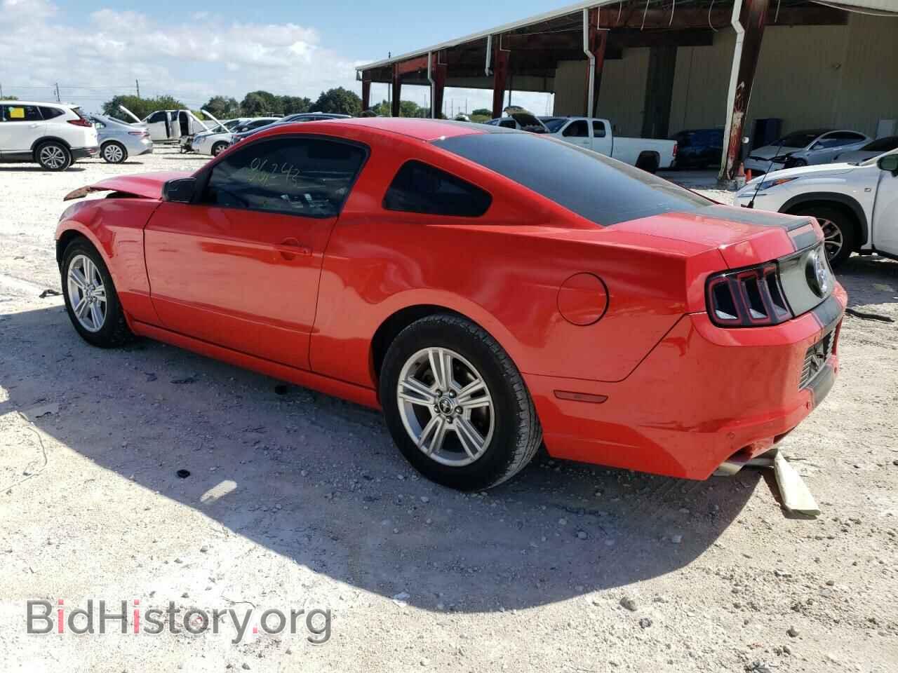 2014 FORD MUSTANG - VIN: 1ZVBP8AM2E5250108 - Фото 2