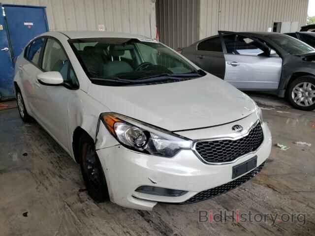 Фотография KNAFK4A66F5288744 - KIA FORTE 2015