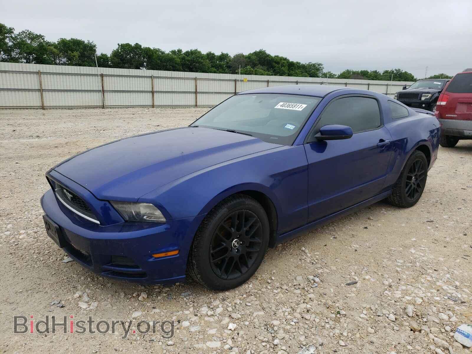 2013 FORD MUSTANG - VIN: 1ZVBP8AM2D5224848 - Фото 2