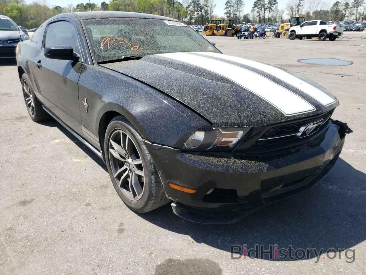 Photo 1ZVBP8AN3A5176801 - FORD MUSTANG 2010