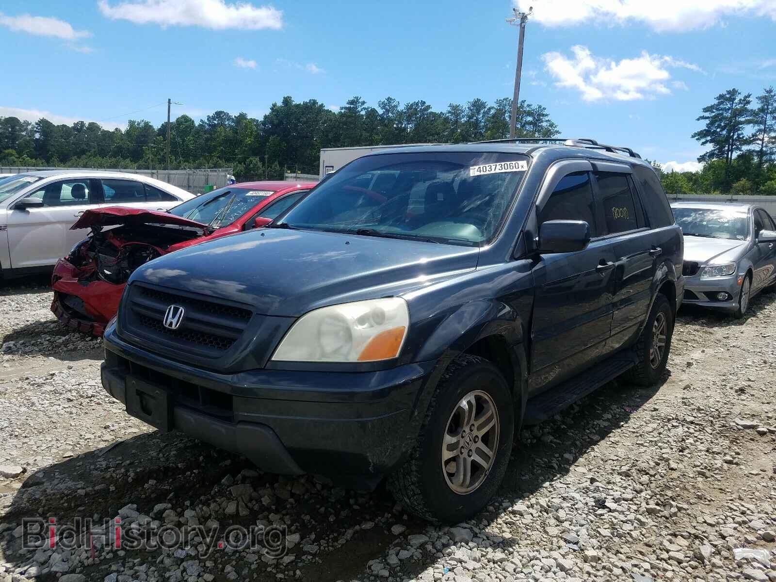 2005 HONDA PILOT - VIN: 5FNYF18575B041497 - Фото 2