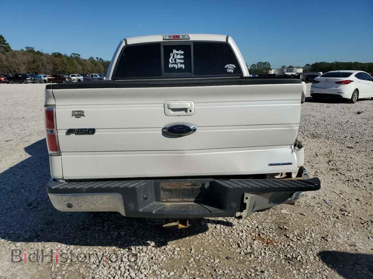 2013 FORD F-150 - VIN: 1FTFW1EF3DKD64175 - Photo 6