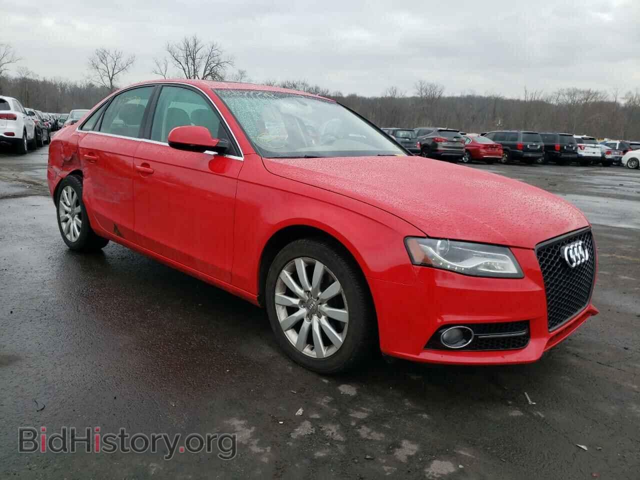 Фотография WAUFFAFL0BN056054 - AUDI A4 2011