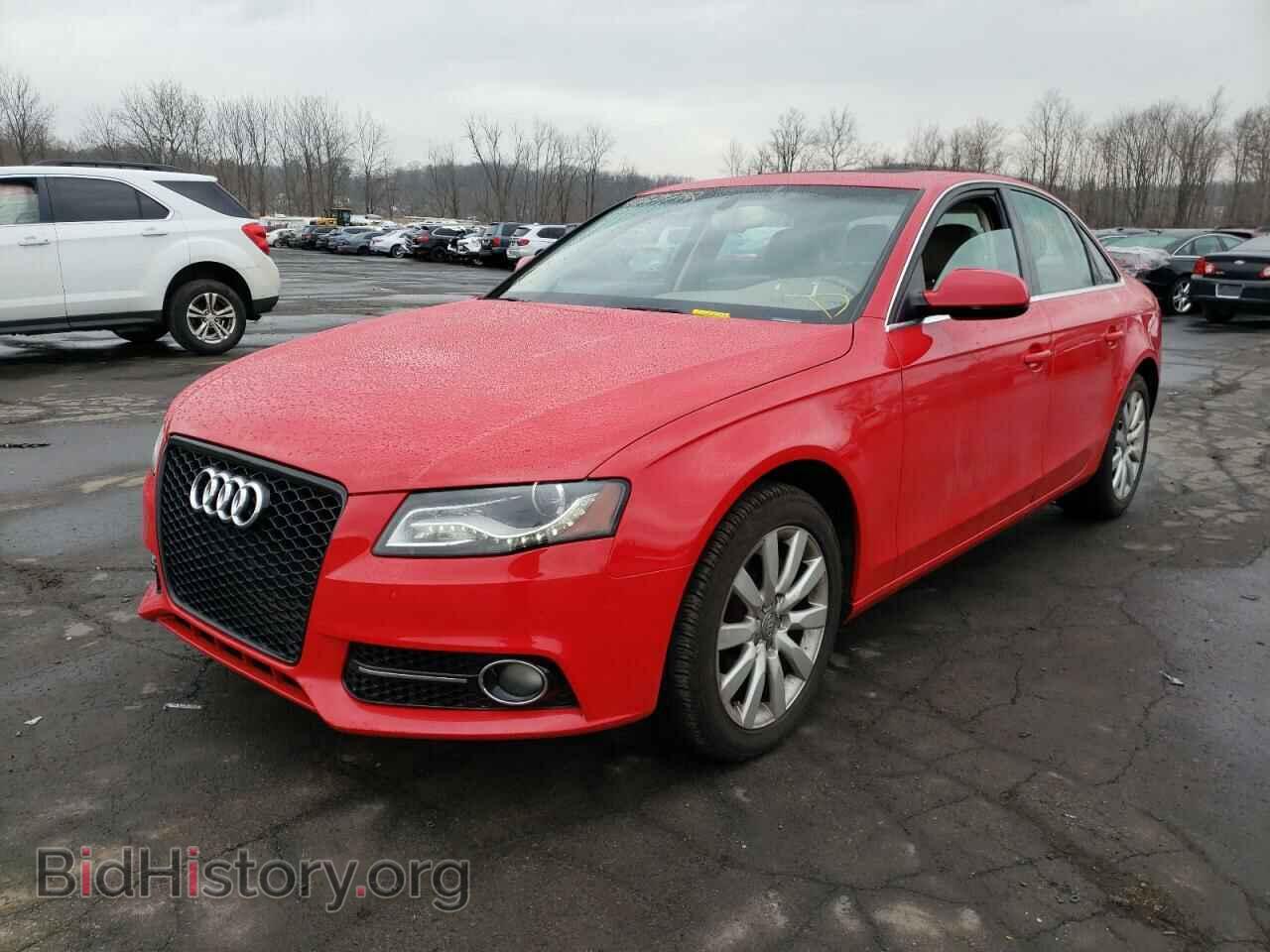2011 AUDI A4 - VIN: WAUFFAFL0BN056054 - Фото 2