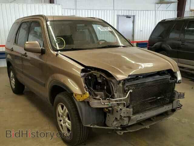 Фотография JHLRD78893C003046 - HONDA CRV 2003