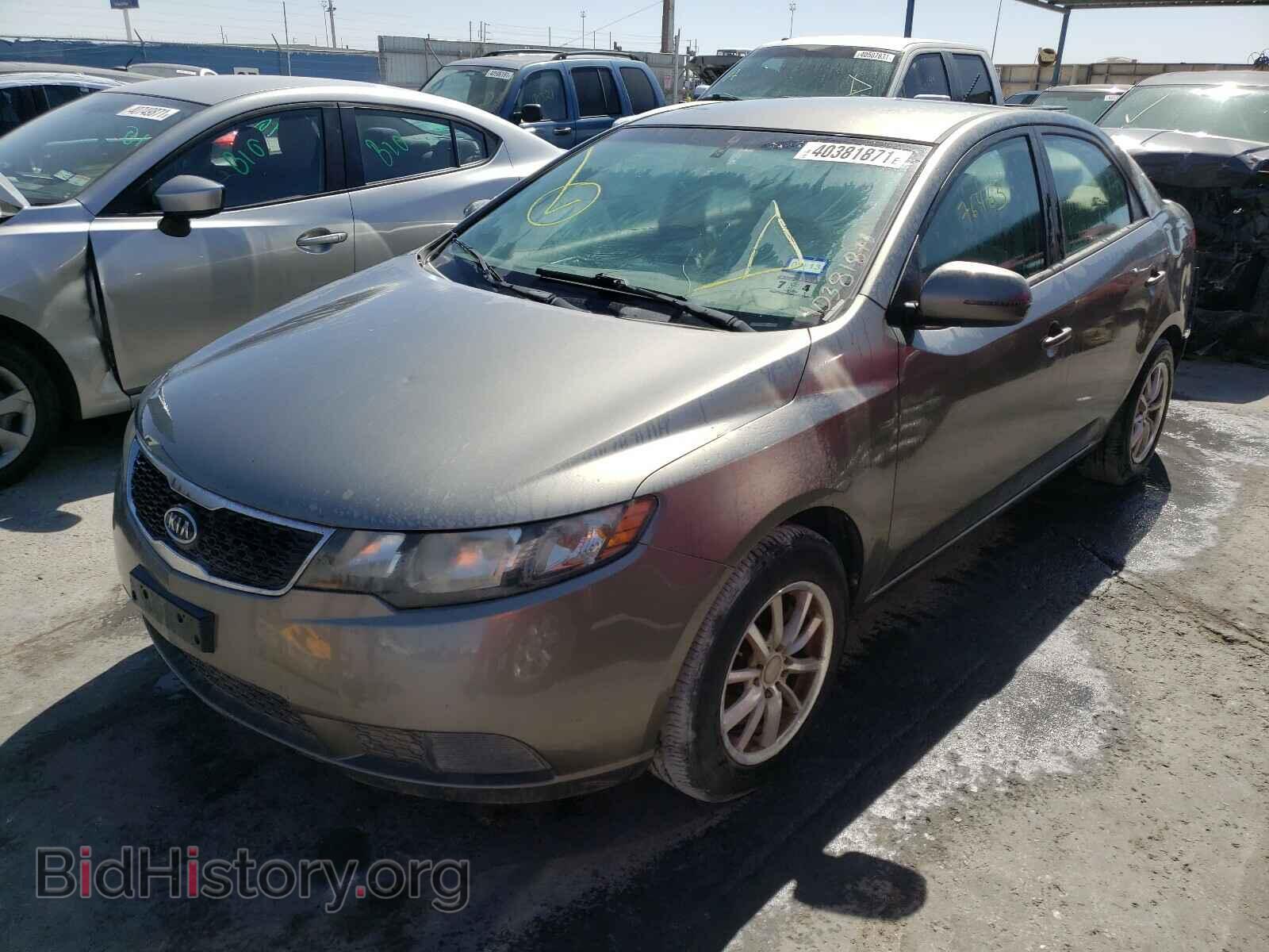 2013 KIA FORTE - VIN: KNAFU4A24D5646377 - Фото 2