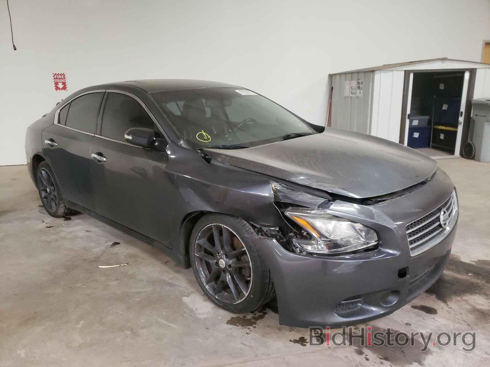 Photo 1N4AA5AP3AC823103 - NISSAN MAXIMA 2010