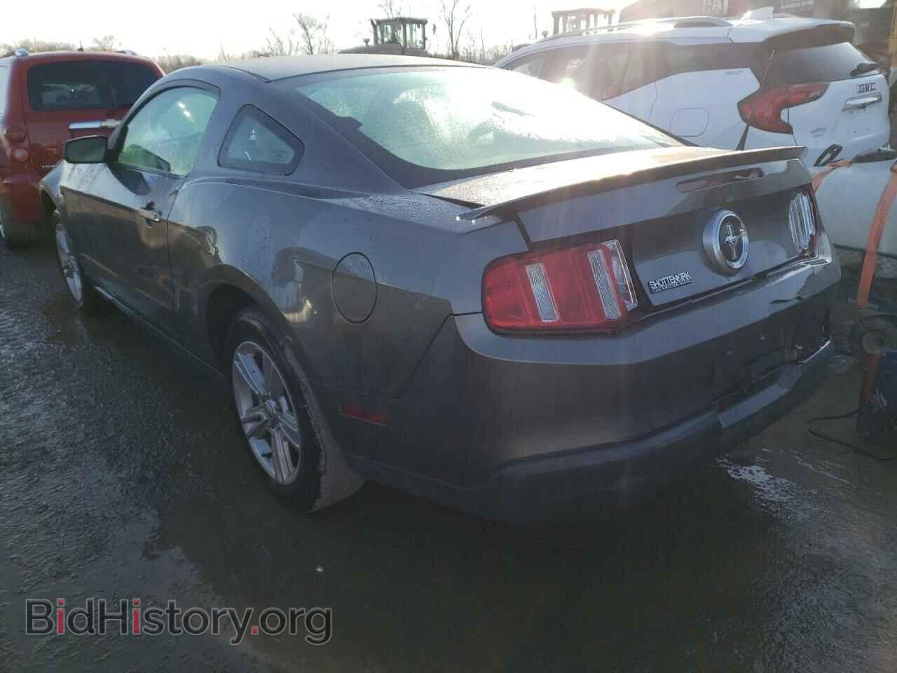 2010 FORD ALL Models - VIN: 1ZVBP8AN0A5136644 - Фото 2