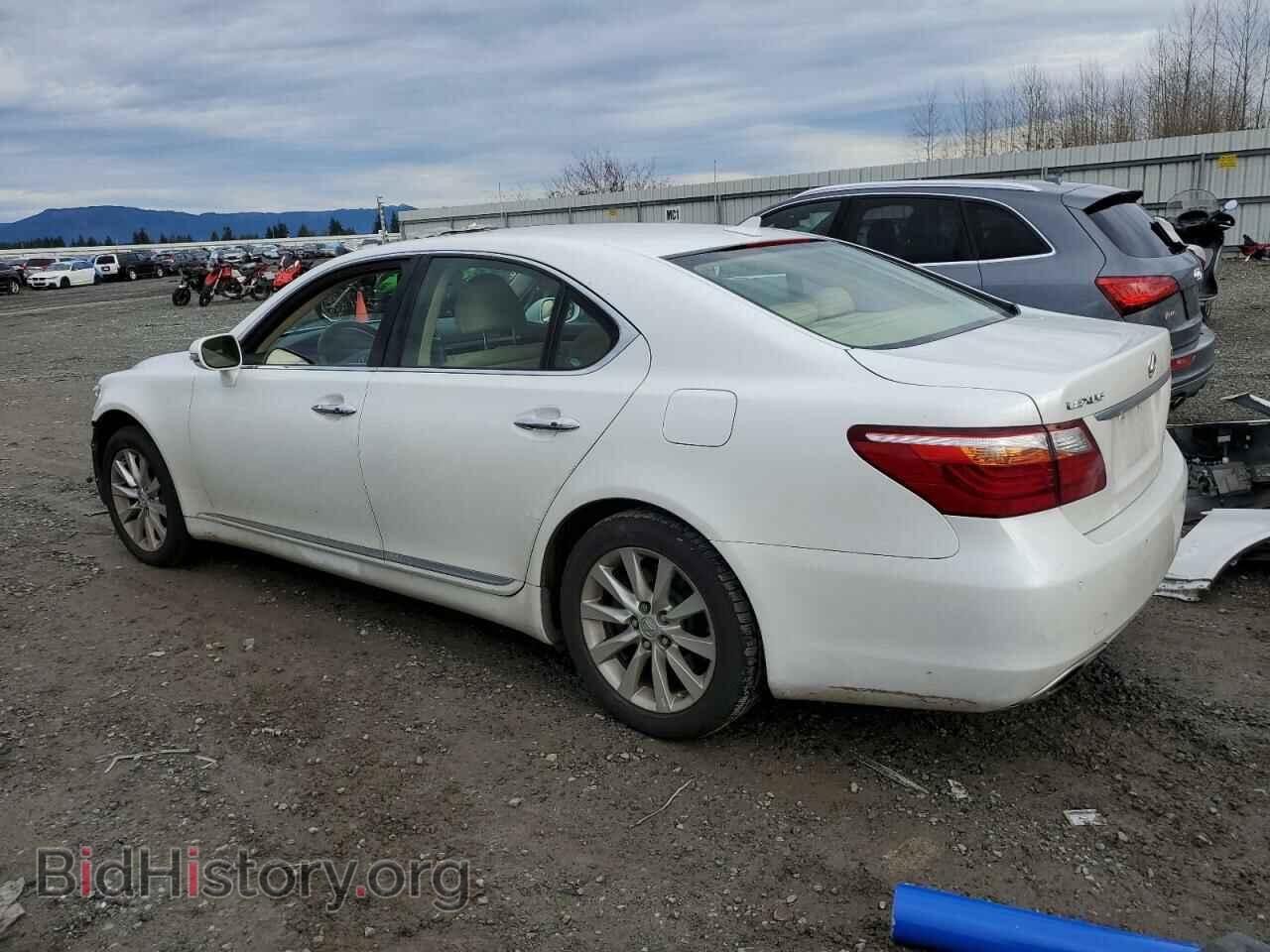 2010 LEXUS LS460 - VIN: JTHCL5EF4A5008622 - Фото 2