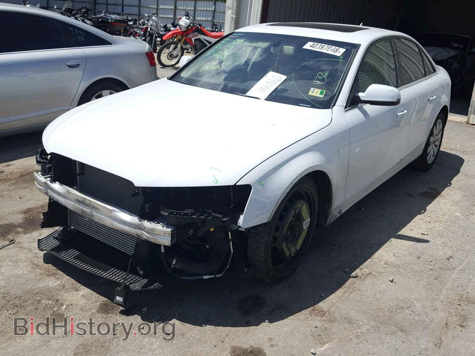 2013 AUDI A4 - VIN: WAUBFAFL4DN026234 - Photo 2