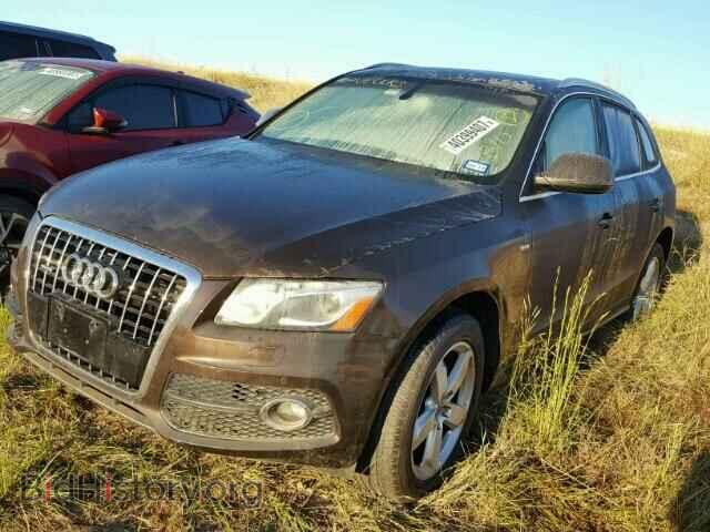2012 AUDI Q5 - VIN: WA1WKAFP8CA108390 - Фото 2
