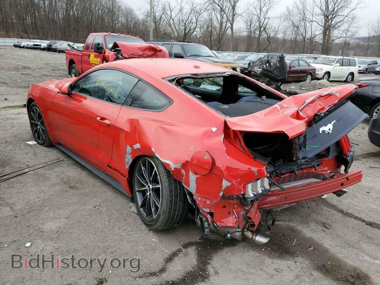 2019 FORD MUSTANG - VIN: 1FA6P8TH4K5165955 - Фото 2
