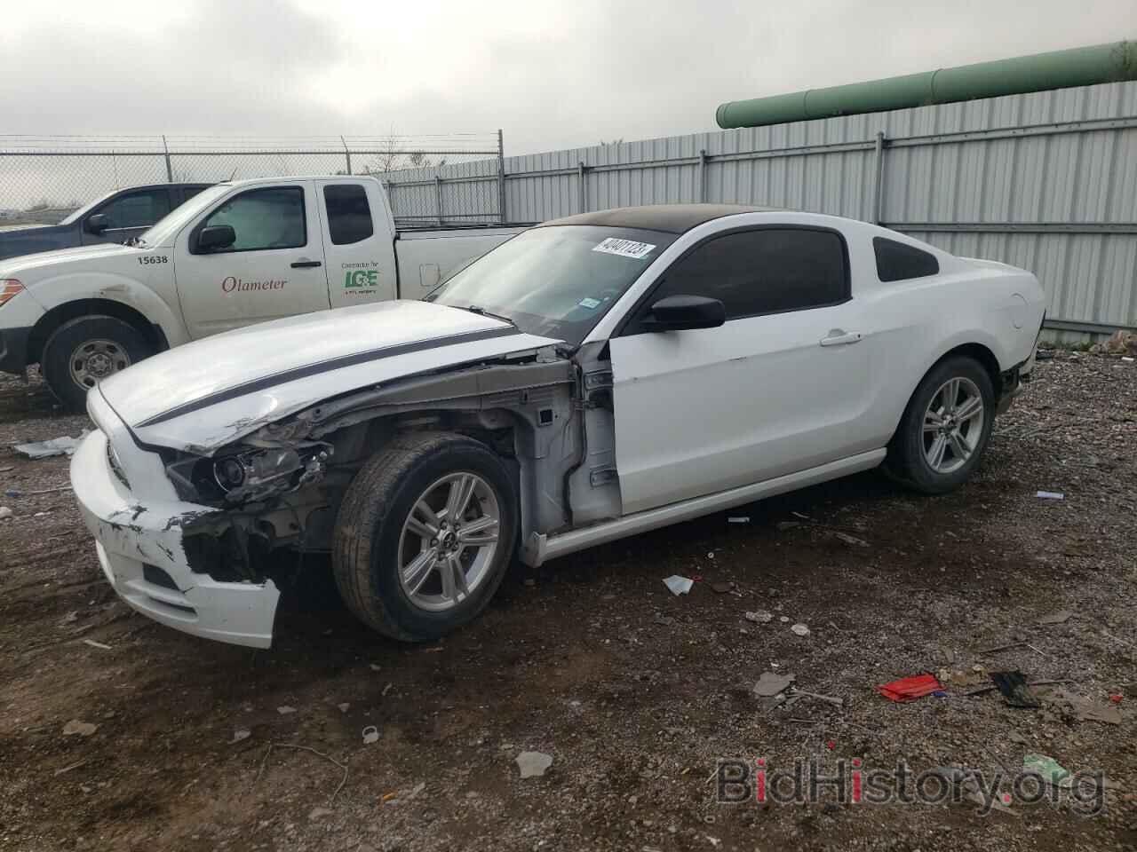 Photo 1ZVBP8AM3E5236038 - FORD MUSTANG 2014