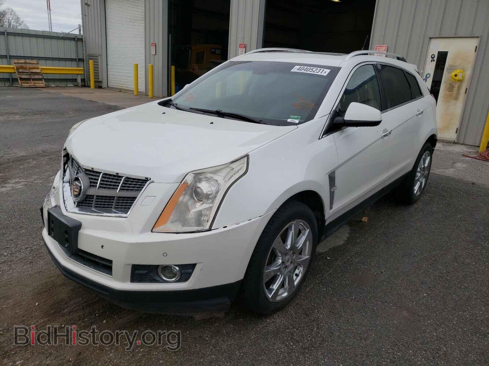 2011 CADILLAC SRX - VIN: 3GYFNFEY8BS558827 - Фото 2