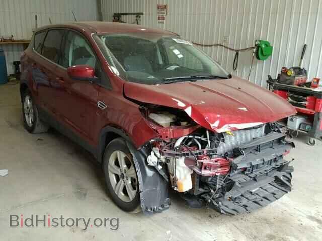 Фотография 1FMCU9GXXEUC73516 - FORD ESCAPE 2014