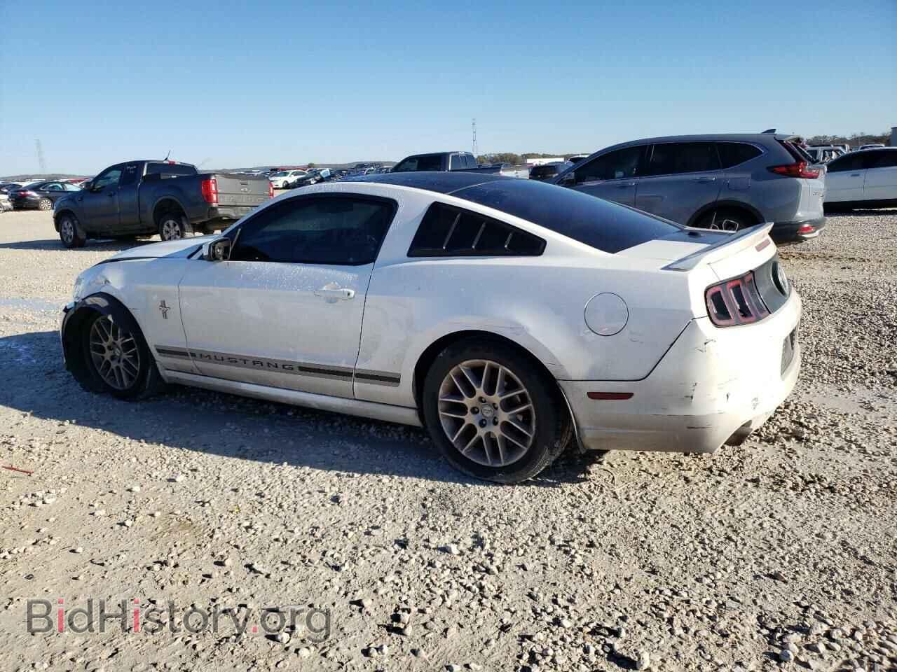 2013 FORD MUSTANG - VIN: 1ZVBP8AM5D5282145 - Фото 2
