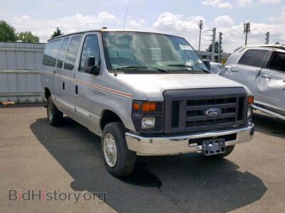 2010 Ford ECONOLINE, серебристый — VIN 1FBNE3BL7ADA20020, Copart