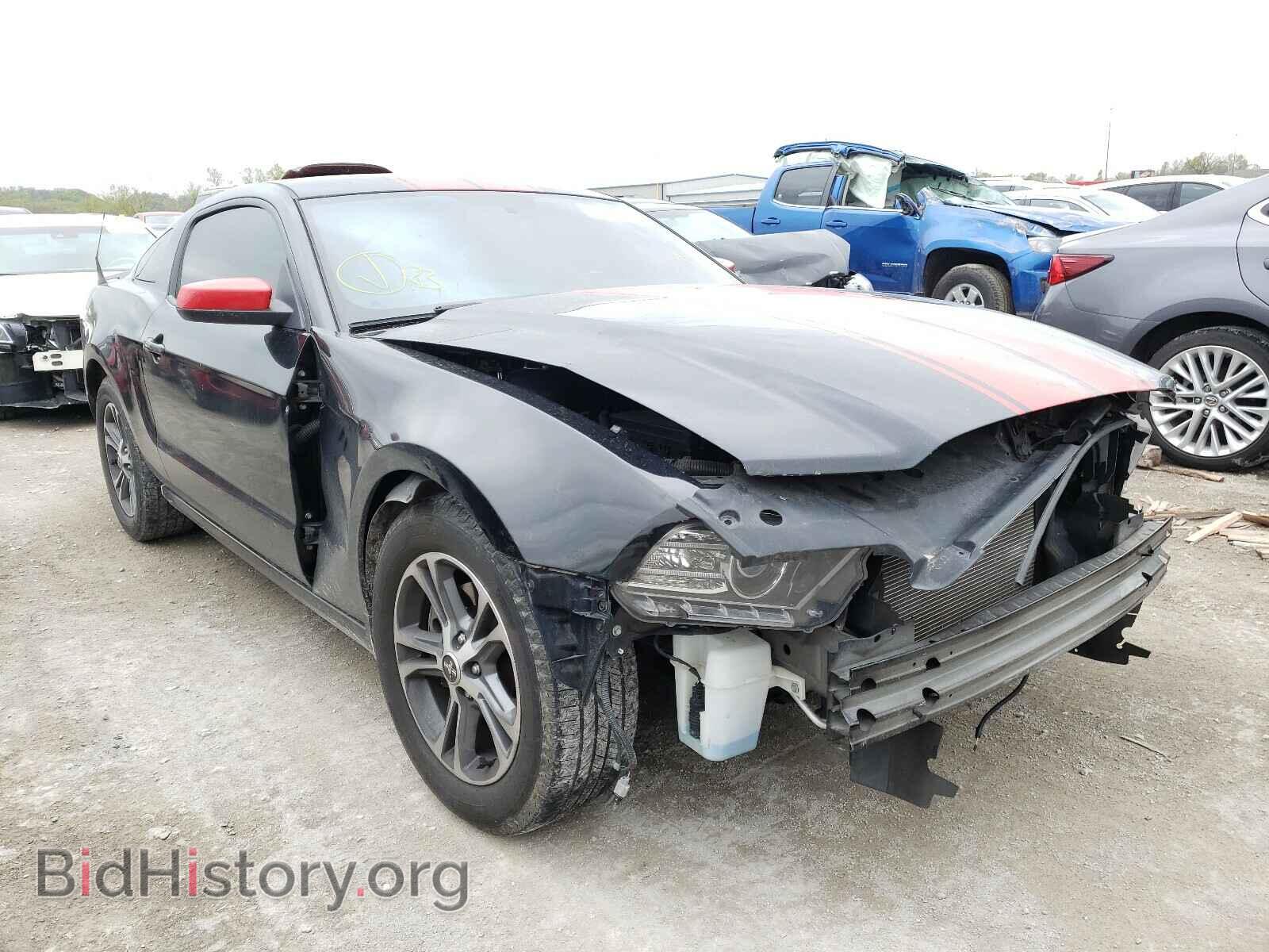Фотография 1ZVBP8AM2E5279415 - FORD MUSTANG 2014