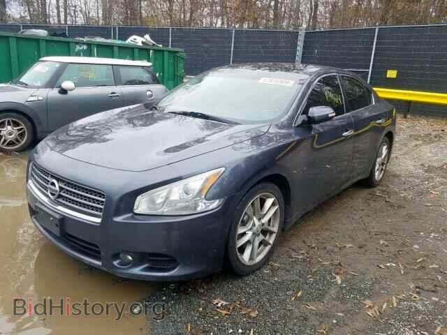 2009 NISSAN MAXIMA - VIN: 1N4AA51E19C824938 - Фото 2